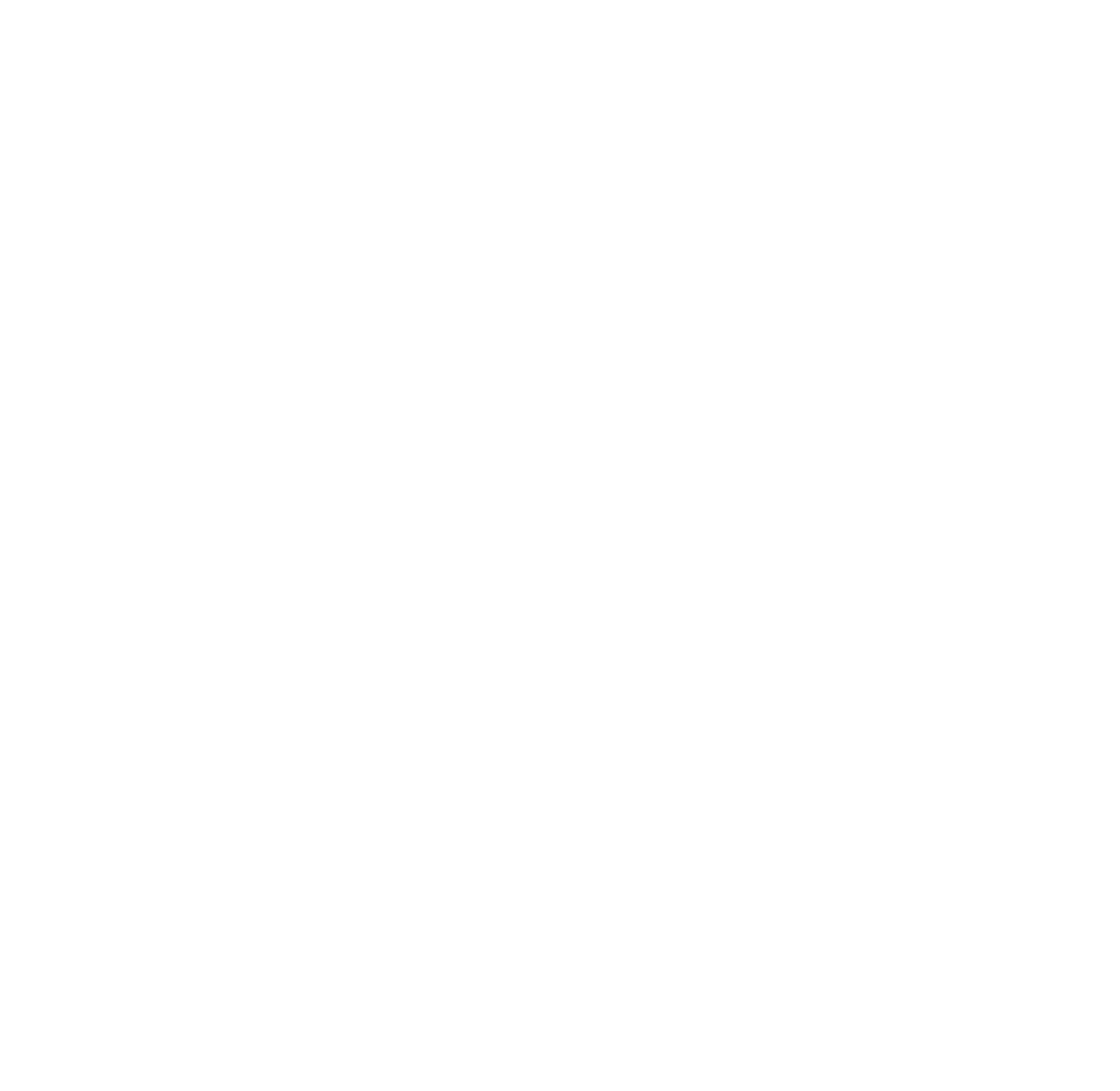 Operational Review
