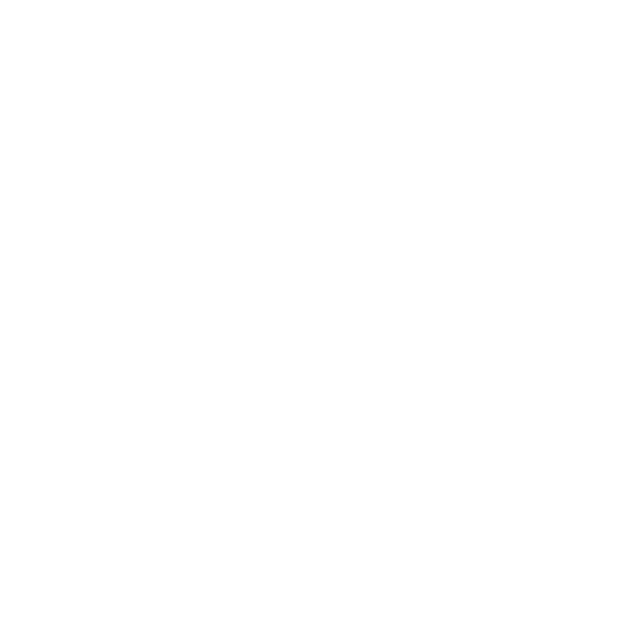Risk Management & Business Risk Assessment Plan